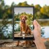 imageLenovo Tab M92023  Tablet  Long Battery Life  9quot HD  Front 2MP ampamp Rear 8MP Camera  3GB Memory  32GB Storage  Android 12 or Later  Folio Case IncludedGrayTablet