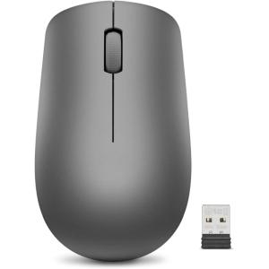 imageLenovo 530 Full Size Wireless Computer Mouse for PC Laptop Computer with Windows  24 GHz Nano USB Receiver  Ambidextrous Design  12 Months Battery Life  Platinum GreyGraphite Grey